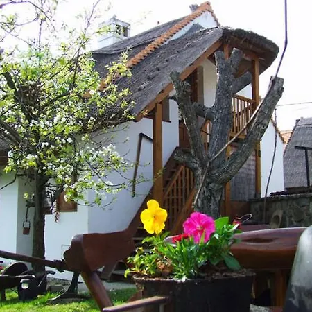 萨托温的哈兹酒店 蒂豪尼