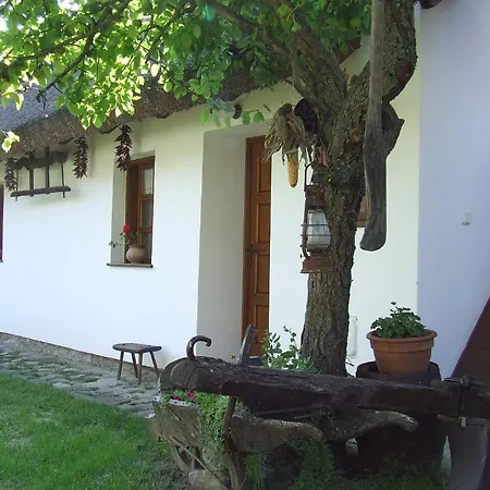 萨托温的哈兹酒店 招待所