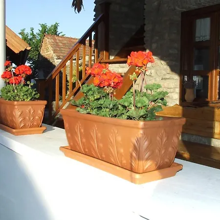 Guest house Csato Vendeghaz Tihany